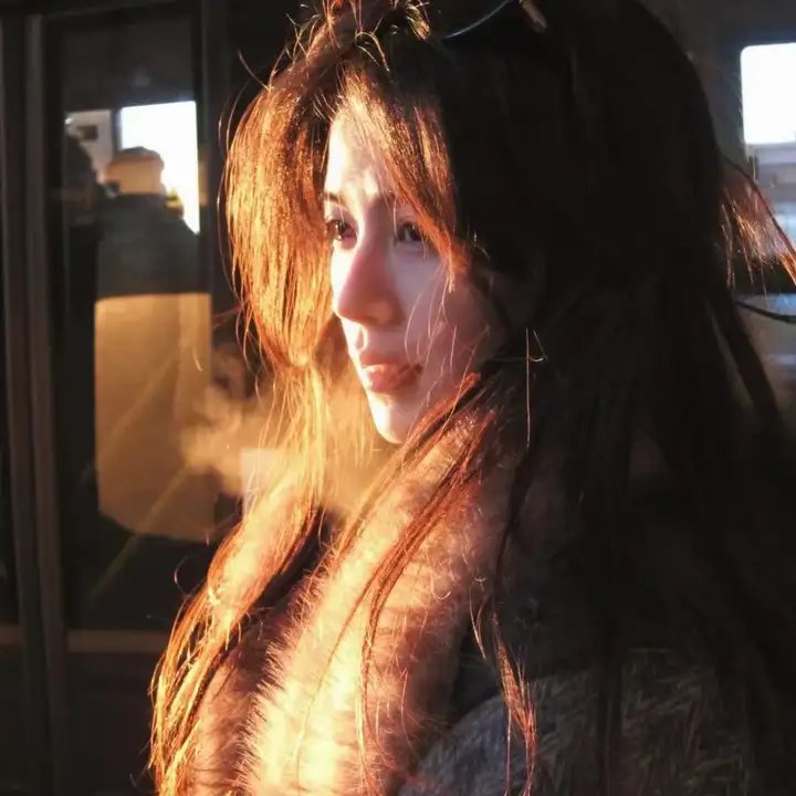 独行月球动画版